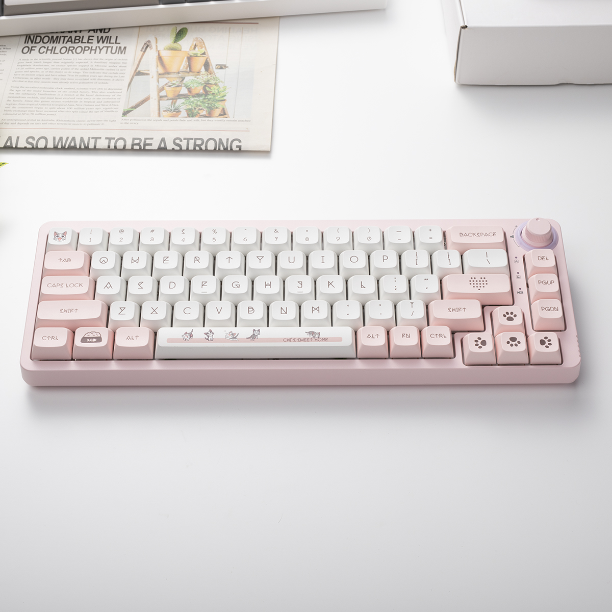 TM680 Hot Swap Mechanical Keyb - Hot Swap Pcb avaliação e preço